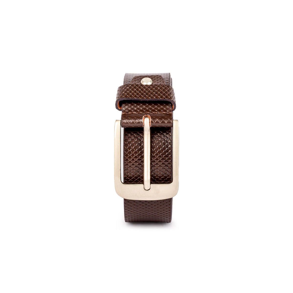 Stylish and Luxurious Leather Belt